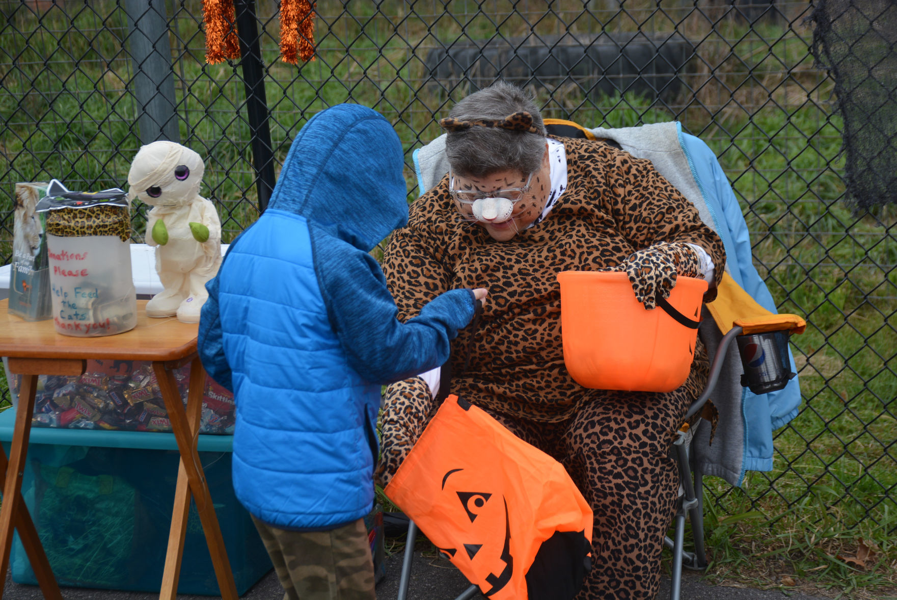 Cat halloween 3